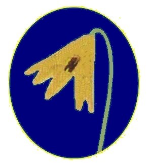 Logo 13 13